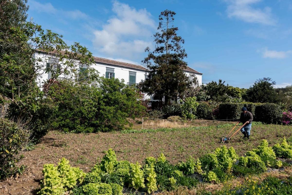 Quinta Do Solar Perfect For Families Villa Ponta Delgada Eksteriør billede